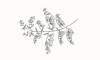 Fav icon